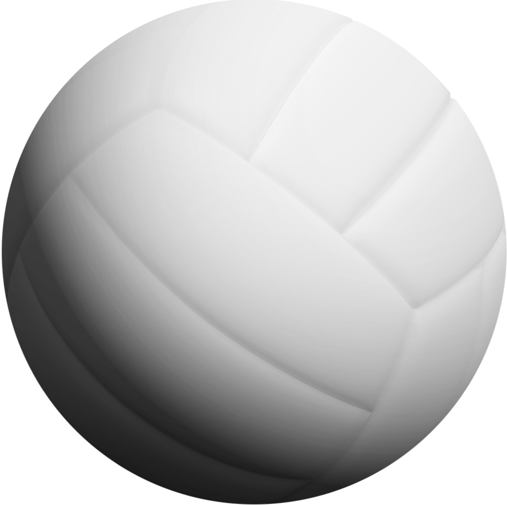 volleybal 
